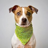 Golden Green Daisy Floral Dog Bandana