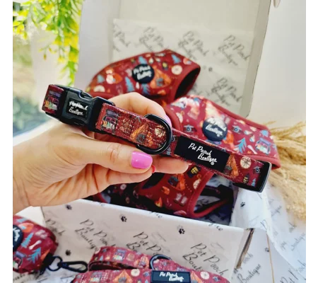 Great Adventure Dog Collar