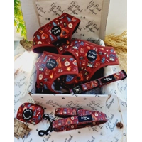 Great Adventure Dog Harness