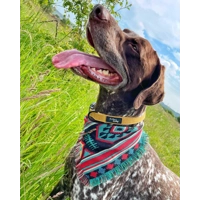 Mustard Yellow Cord Dog Collar