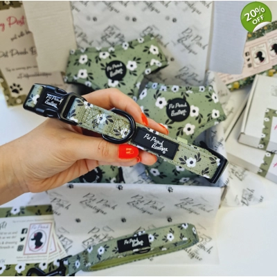 Green Meadow Daisy Dog Collar- Optional Flower Accessory