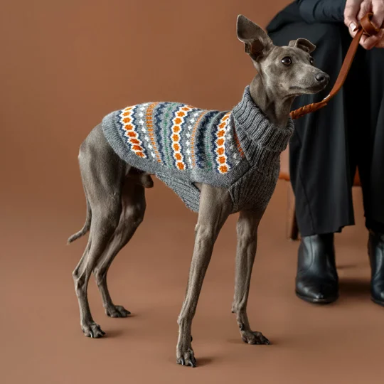 Grey Hexagon Alpaca Wool Dog Jumper - Alqo Wasi