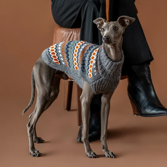 Grey Hexagon Alpaca Wool Dog Jumper - Alqo Wasi