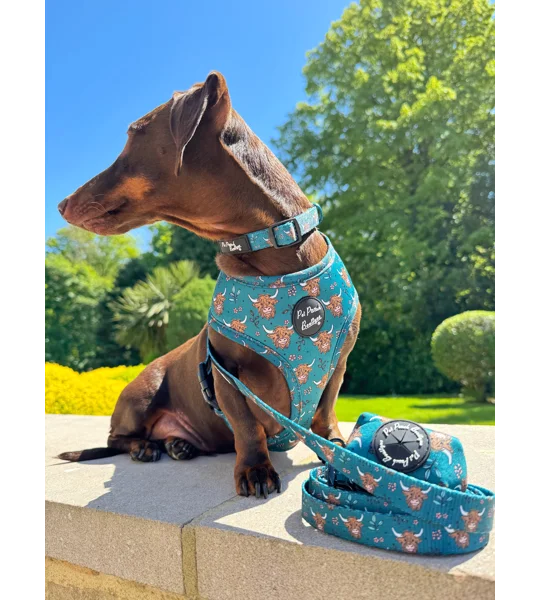 Happy Highland Cow Dog Lead - Reversible