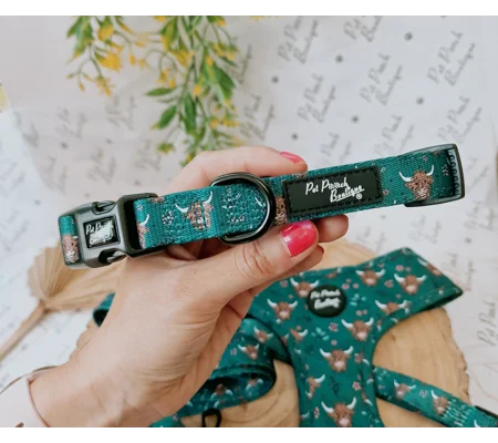 Happy Highland Cow Dog Collar - OPTIONAL Bow Tie ACCESSORY