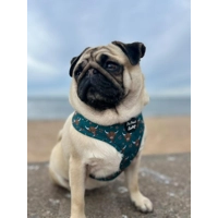 Happy Highland Cow Dog Harness