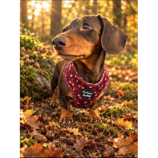 Happy Little Acorns Dog Harness