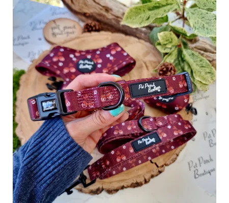 Happy Little Acorns Dog Collar