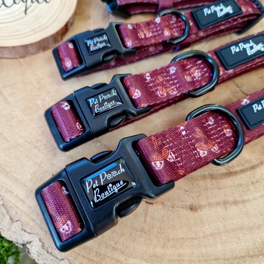 Happy Little Acorns Dog Collar