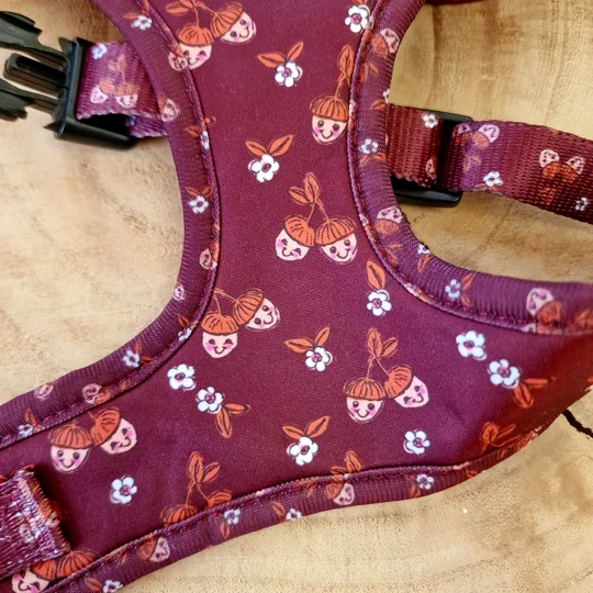 Happy Little Acorns Dog Harness