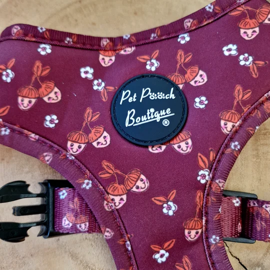 Happy Little Acorns Dog Harness