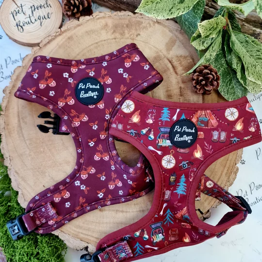 Happy Little Acorns Dog Collar