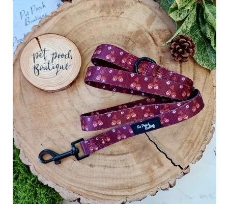 Happy Little Acorns Lead - Reversible