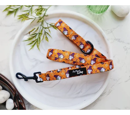 Trick Or Treat Harry Halloween Spooky Dog Lead - Reversible