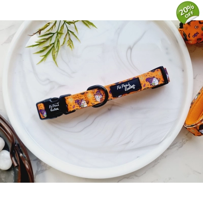 Trick Or Treat Harry Halloween Spooky Dog Collar