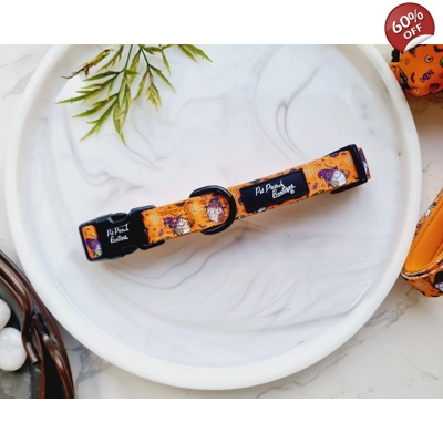 Trick Or Treat Harry Halloween Spooky Dog Collar Trick Or Treat Harry Halloween Spooky Dog Collar