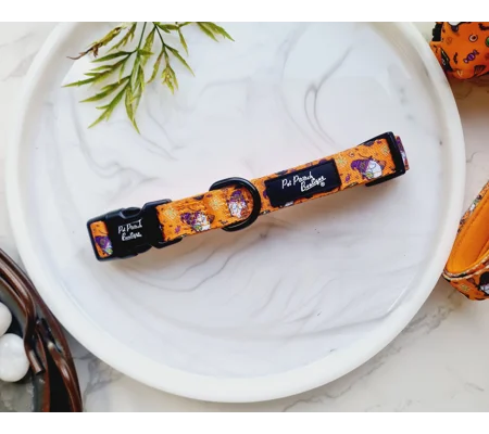 Trick Or Treat Harry Halloween Spooky Dog Collar