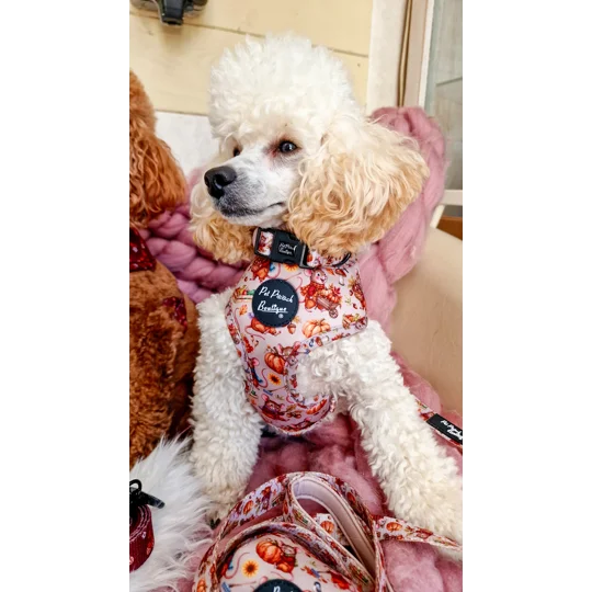 Harvest Mouse Dog Harness
