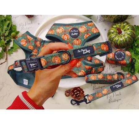 Harvest Pumpkin Patch Dog Collar