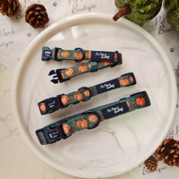 Harvest Pumpkin Patch Dog Collar