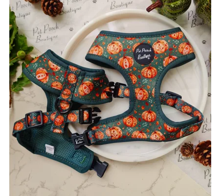 Harvest Pumpkin Patch Dog Harness