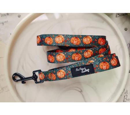 Harvest Pumpkin Patch Dog Lead - Reversible