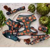 Harvest Pumpkin Patch ID Dog Tag - NEW STYLE