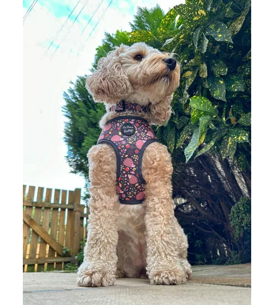 Woodland Hedgehog Dog Harness