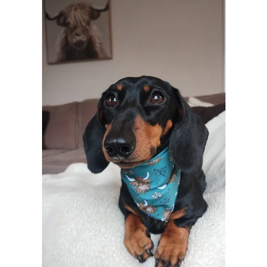 Happy Highland Cow Dog Bandana