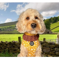 Bumble Bee Roll Top Dog Snood