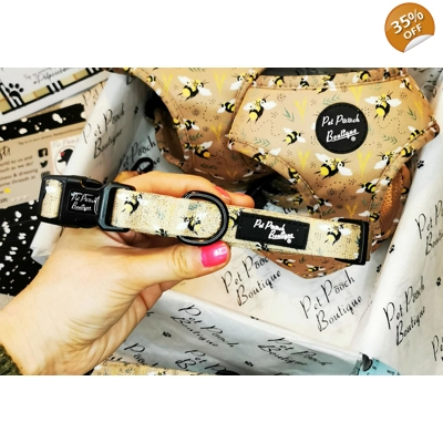 Honey Bumble Bee Dog Collar- Optional Flower Accessory Honey Bumble Bee Dog Collar- Optional Flower Accessory