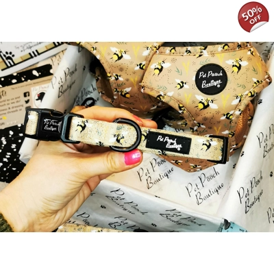 Honey Bumble Bee Dog Collar