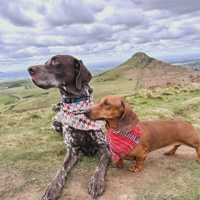 Frayed Red Talisman Bandana - Scamps