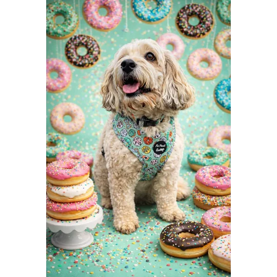 Iced Doughnuts & Coffee Dog Harness