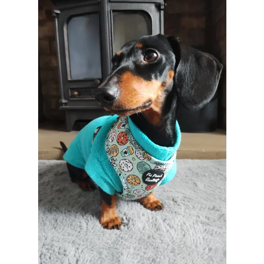 Iced Doughnuts & Coffee Dog Harness