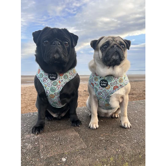 Iced Doughnuts & Coffee Dog Harness