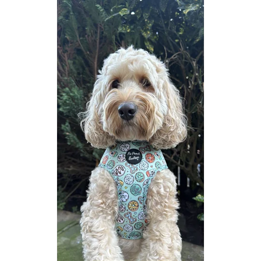 Iced Doughnuts & Coffee Dog Harness