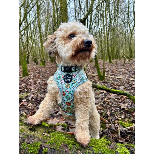 Iced Doughnuts & Coffee Dog Harness