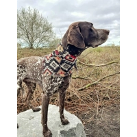 Frayed Jackal Bandana - Scamps