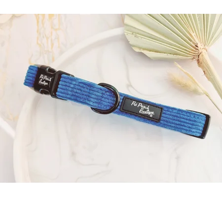 Jaguar Blue Cord Dog Collar