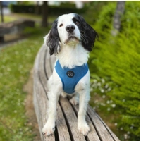 Jaguar Blue Cord Dog Harness