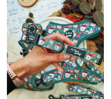 Jolly Bear Christmas Dog Collar