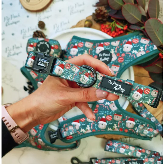 Jolly Bear Christmas Dog Collar