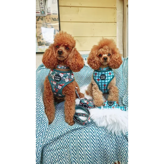 Festive Plaid Christmas Dog Poo Bag Holder