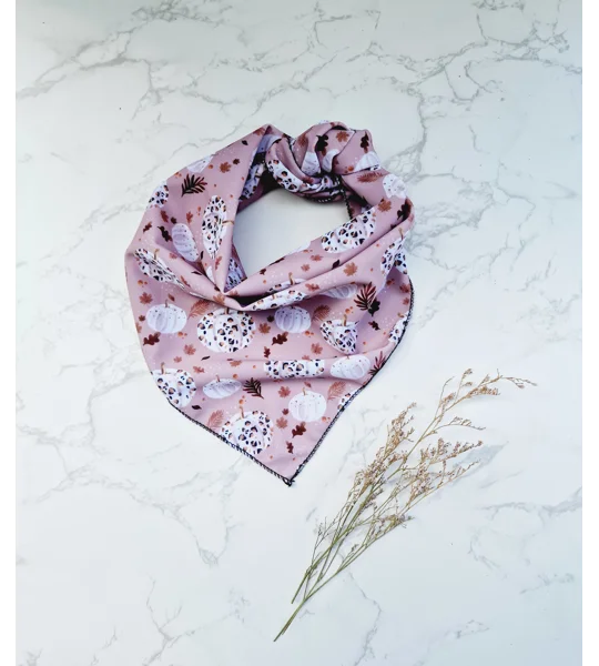 Pumpkin Leopard Latte Dog Bandana