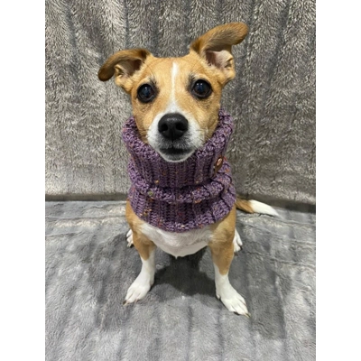 Lilac Roll Top Dog Snood Lilac Roll Top Dog Snood