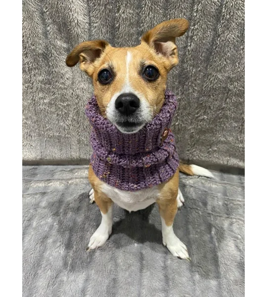 Lilac Roll Top Dog Snood