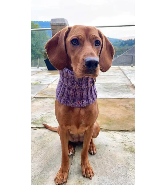 Lilac Roll Top Dog Snood