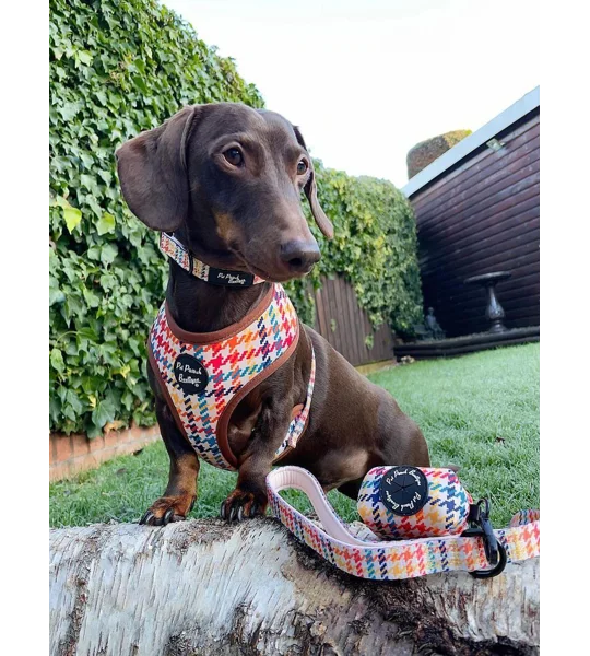 Lionheart Houndstooth Dog Poo Bag Holder