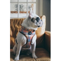 Lionheart Houndstooth Dog Harness